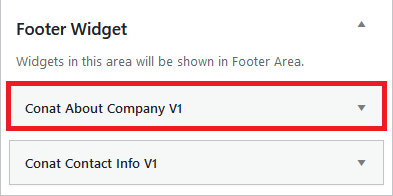 Footer Widgets